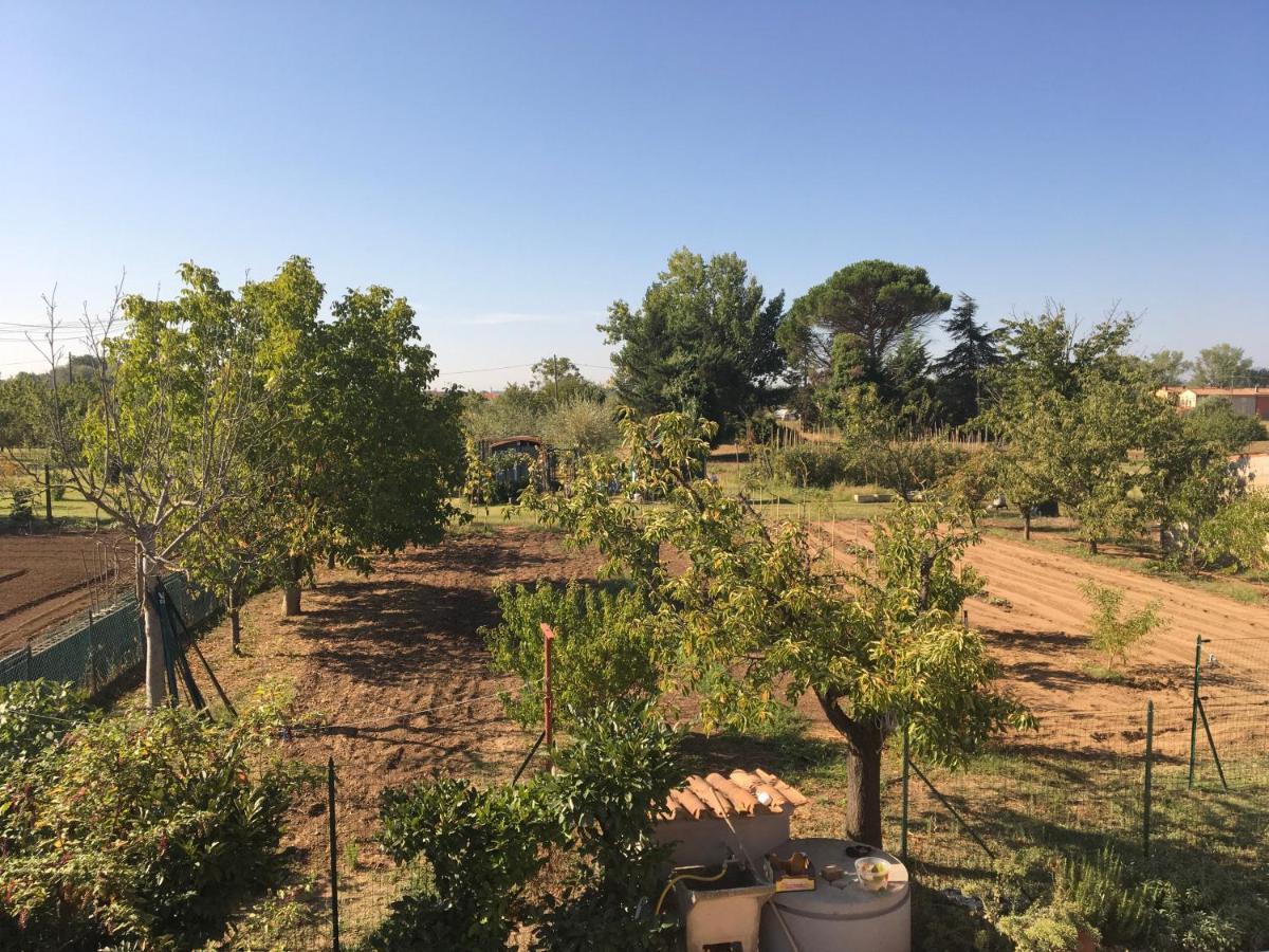Tuscan Dream Pieve a Nievole