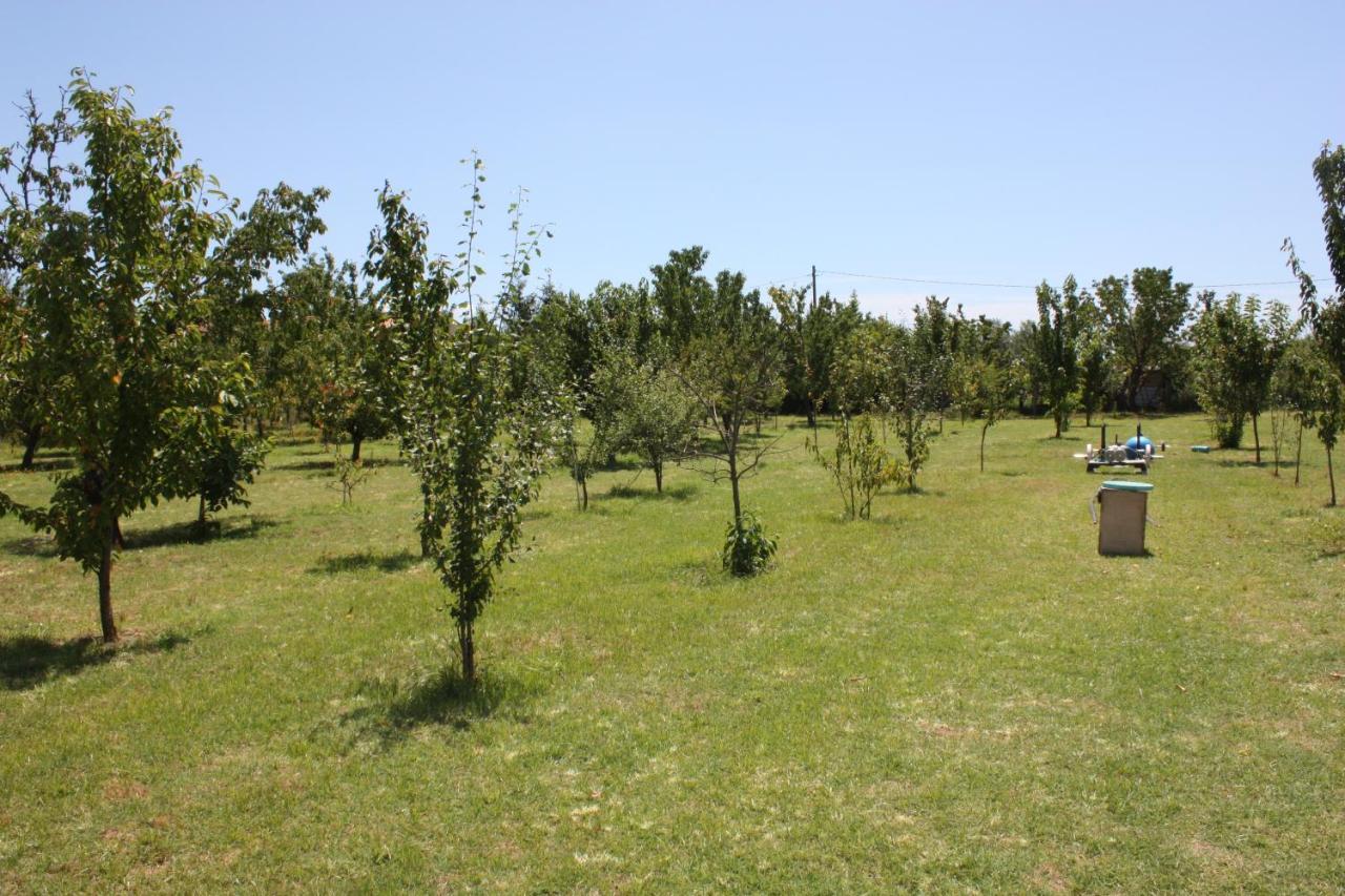 Tuscan Dream Pieve a Nievole